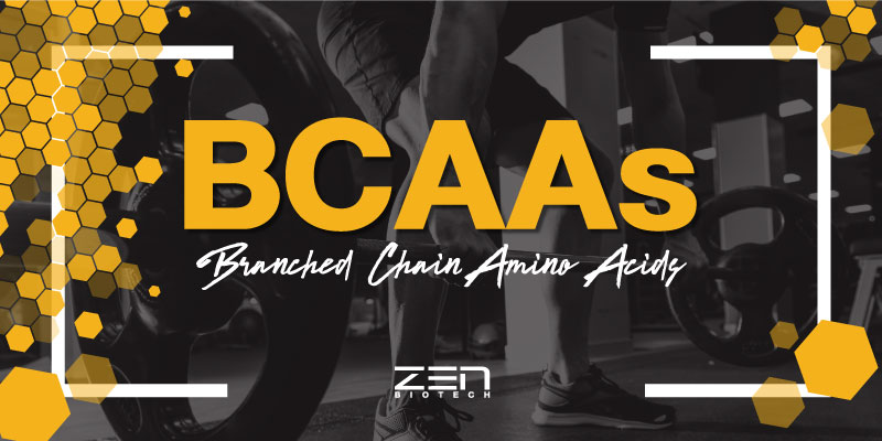 สารสกัด BCAAs (Branched Chain Amino Acids)