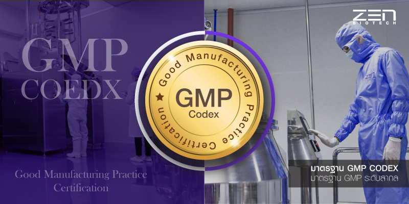 GMP Codex zen biotech