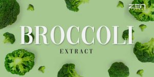 สารสกัดบร็อคโคลี่ -Broccoli