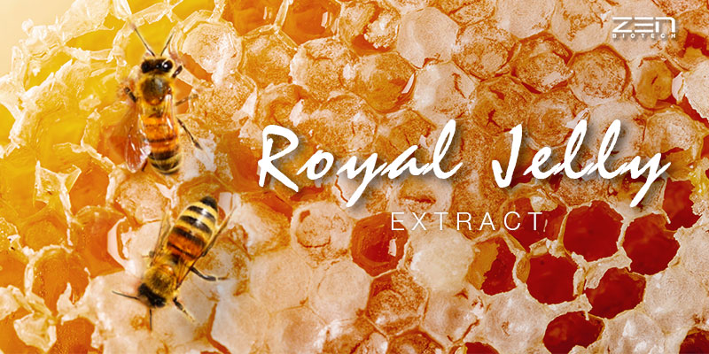 สารสกัดนมผึ้ง Royal Jelly