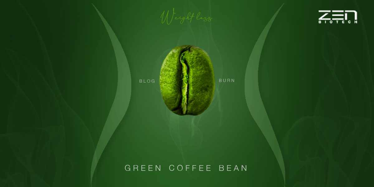 สารสกัดจากเมล็ดกาแฟสีเขียว (GCBE)
