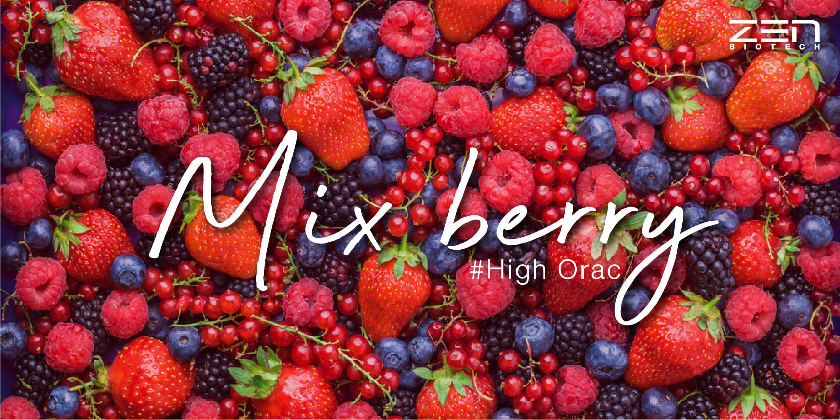 สารสกัดจากเบอร์รี่เข้มข้นสำกัด Mix Berry