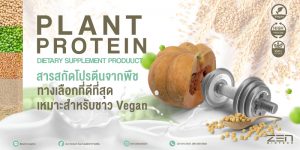 Plant Protein สารสกัดโปรตีนจากพืช ทางเลือกที่ดีที่สุด และเหมาะสำหรับชาว Vegan